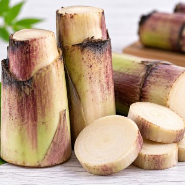 Banana Stem