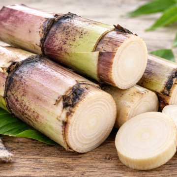 Banana Stem