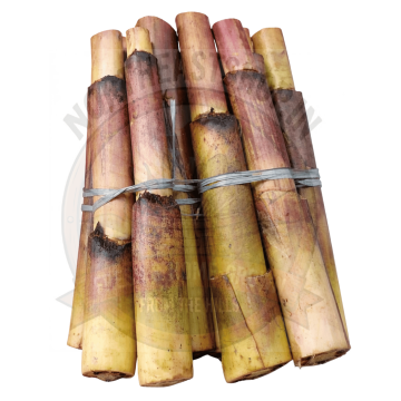 Banana Stem