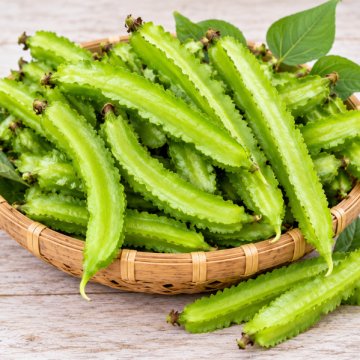 Wing Bean