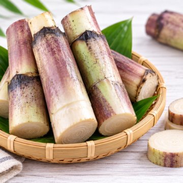 Banana Stem