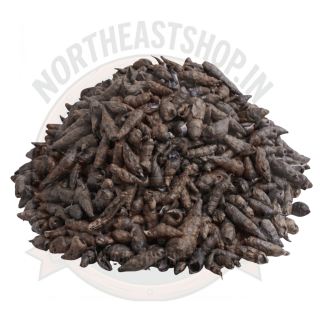 Snail From Paddy Field (Long) (1 KG)